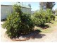 282 Cobram Road, Berrigan NSW 2712