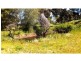 282 Cobram Road, Berrigan NSW 2712