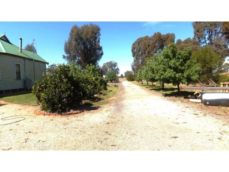 282 Cobram Road, Berrigan NSW 2712