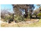 282 Cobram Road, Berrigan NSW 2712