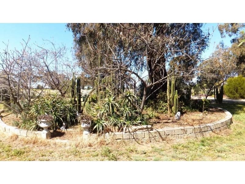 282 Cobram Road, Berrigan NSW 2712