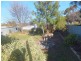 3 Flynn Street, Berrigan NSW 2712