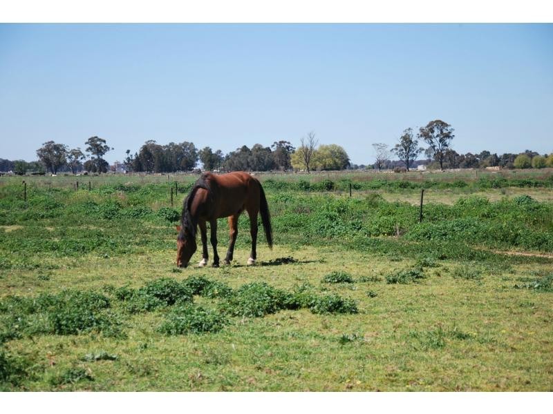 303 Macarthur Road, Yarroweyah VIC 3644