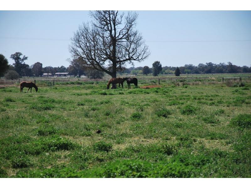 303 Macarthur Road, Yarroweyah VIC 3644