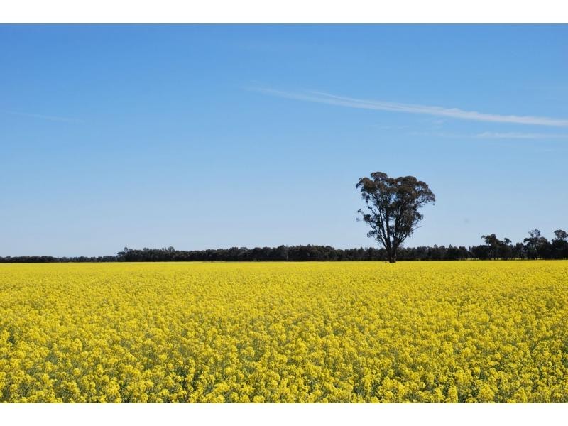 631 Wiltons Road, Barooga NSW 3644