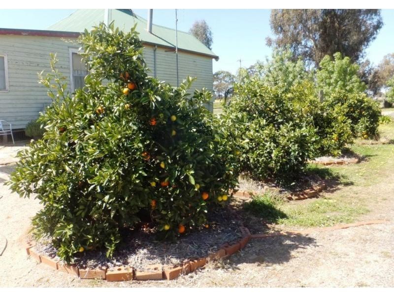 282 Cobram Road, Berrigan NSW 2712