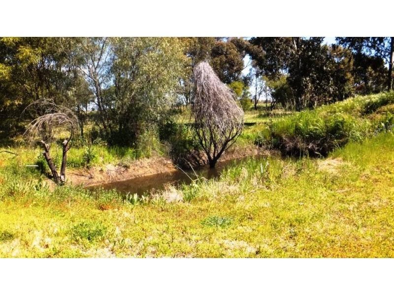 282 Cobram Road, Berrigan NSW 2712