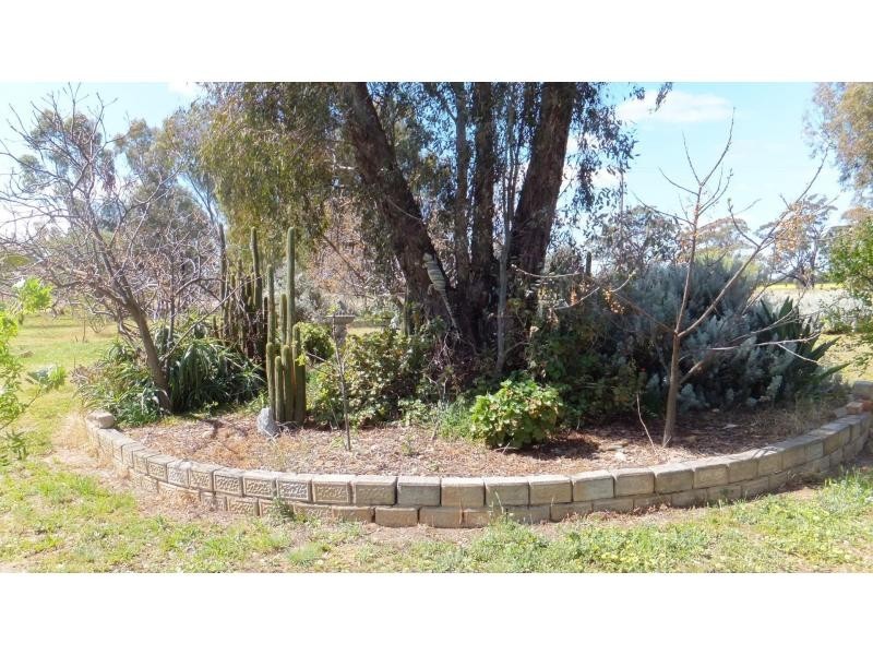 282 Cobram Road, Berrigan NSW 2712