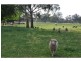 6722 Goulburn Valley Highway, Yarroweyah VIC 3644