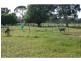 6722 Goulburn Valley Highway, Yarroweyah VIC 3644
