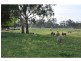 6722 Goulburn Valley Highway, Yarroweyah VIC 3644