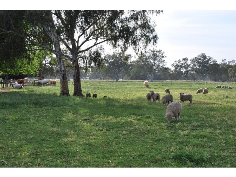 6722 Goulburn Valley Highway, Yarroweyah VIC 3644