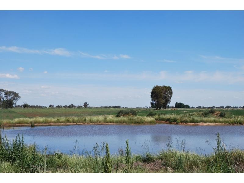 462 Chapel Road, Cobram VIC 3644