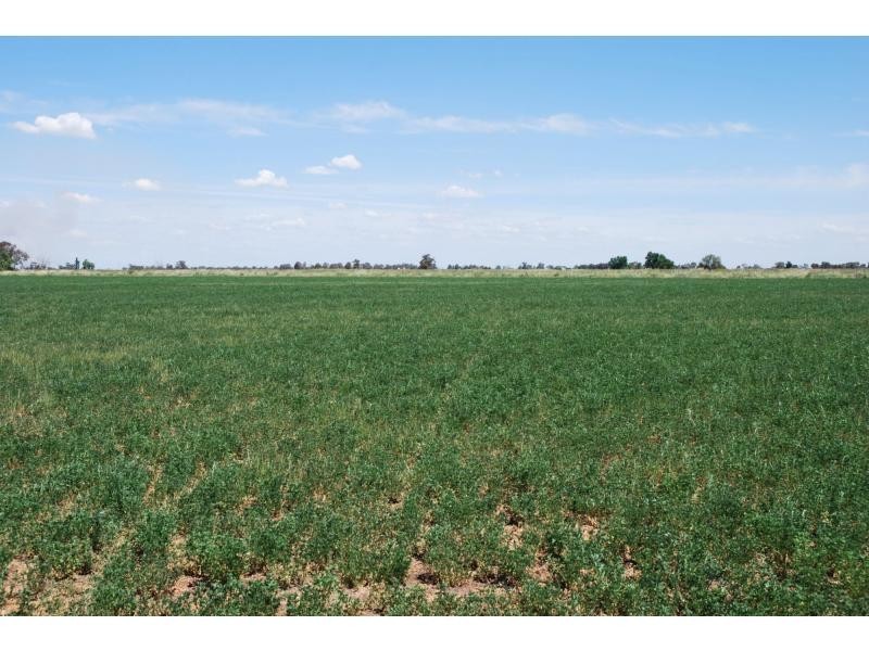 462 Chapel Road, Cobram VIC 3644