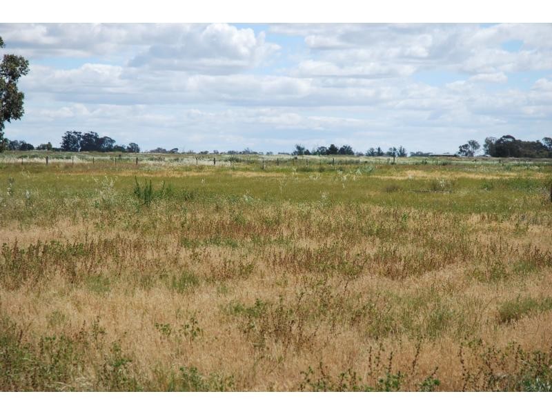 462 Chapel Road, Cobram VIC 3644