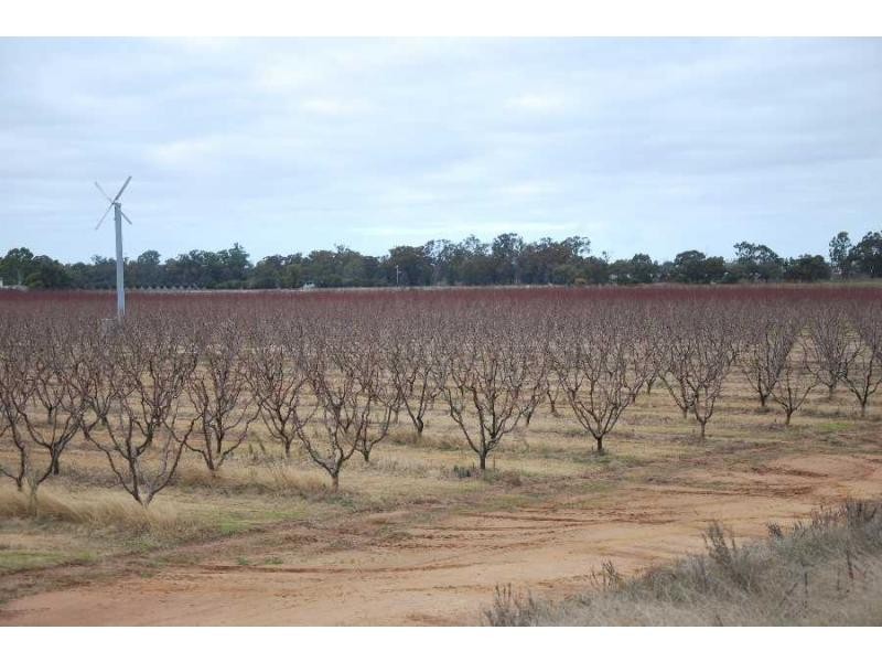 2990 Murray Valley Highway, Cobram East VIC 3644
