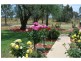 Lot 1 782 Tobruk Road, Cobram VIC 3644