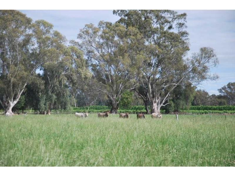 6989 Goulburn Valley Highway, Koonoomoo VIC 3644