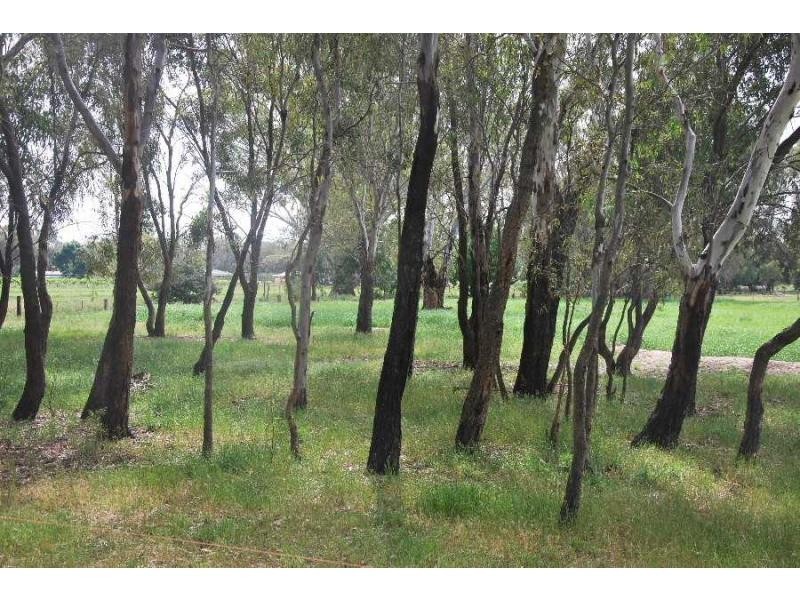 6989 Goulburn Valley Highway, Koonoomoo VIC 3644