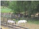 6989 Goulburn Valley Highway, Koonoomoo VIC 3644