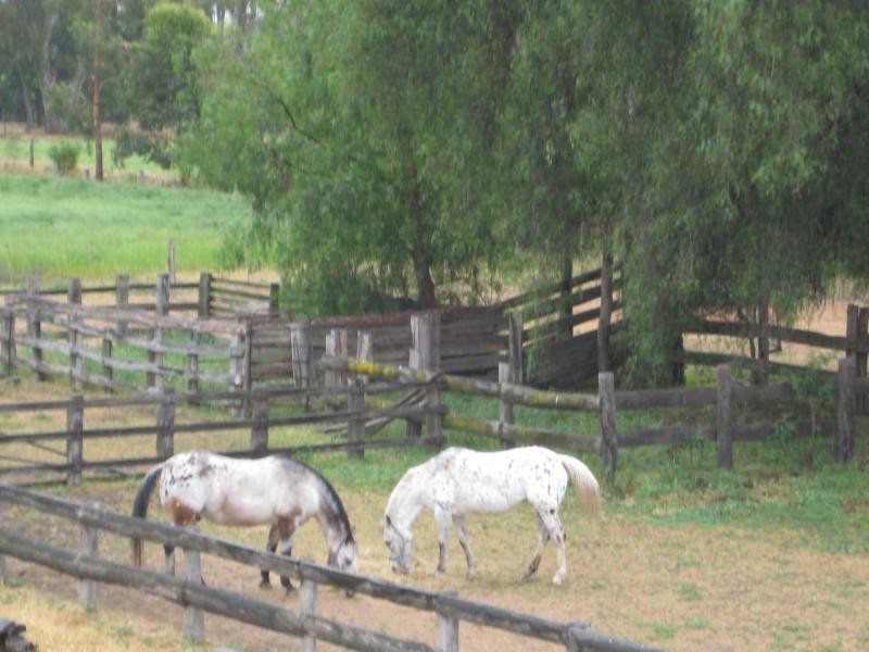 6989 Goulburn Valley Highway, Koonoomoo VIC 3644