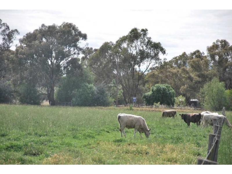 6989 Goulburn Valley Highway, Koonoomoo VIC 3644