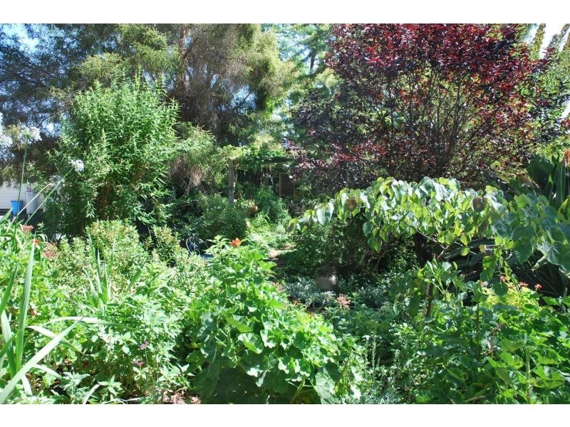 36 Patrick Street, Strathmerton VIC 3641