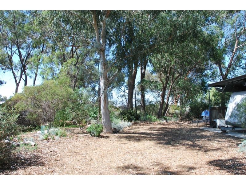 36 Patrick Street, Strathmerton VIC 3641