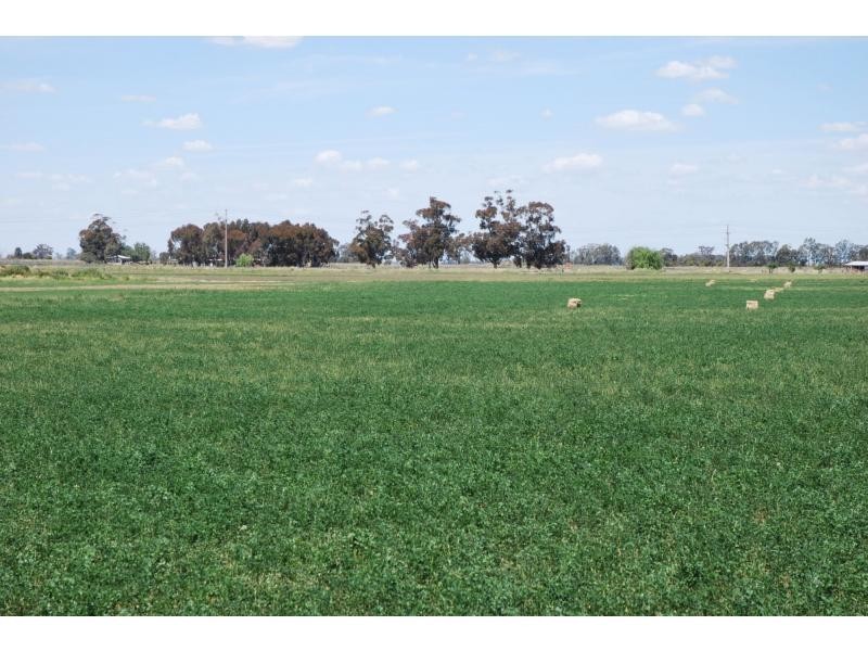 462 Chapel Road, Cobram VIC 3644