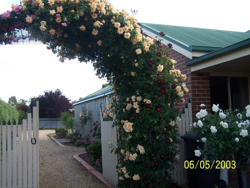 76 Main Street, Strathmerton VIC 3641