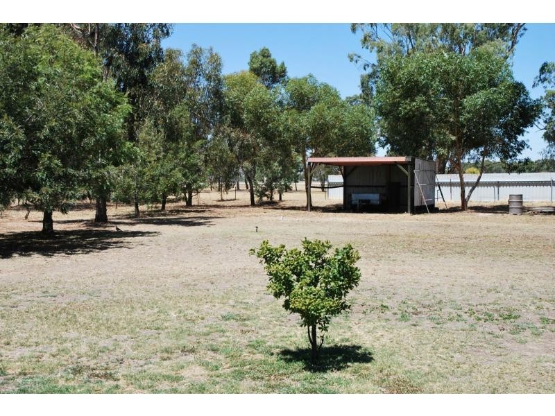 50 Honniball Drive, Tocumwal NSW 2714