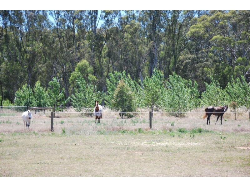 115 Cobrawonga Road, Cobram East VIC 3644