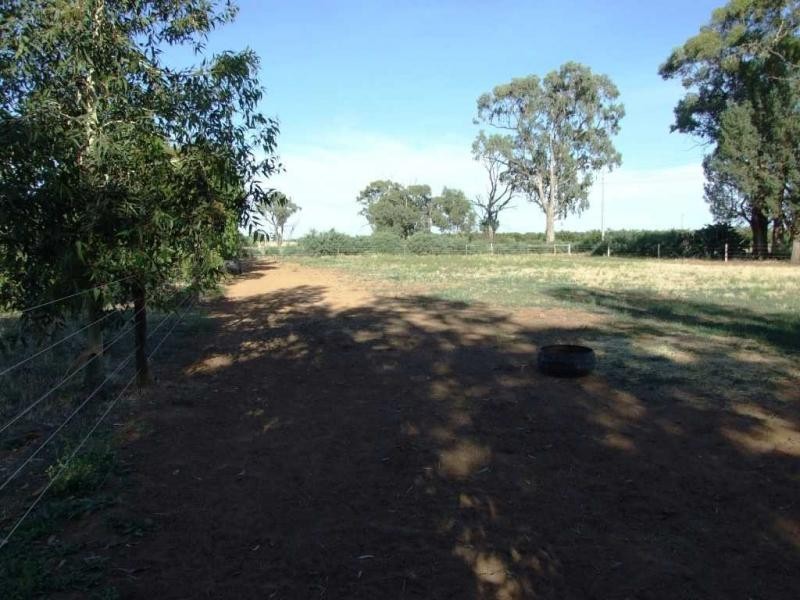 552 Healy Road, Cobram VIC 3644