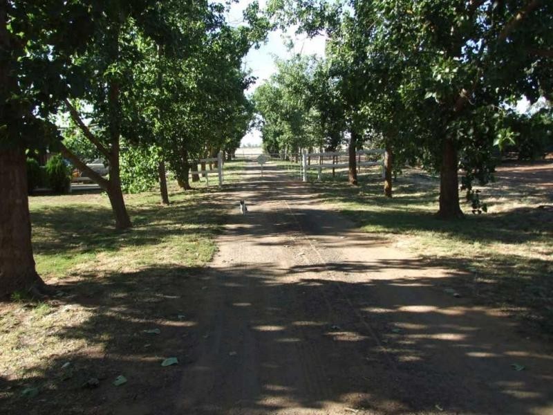 552 Healy Road, Cobram VIC 3644
