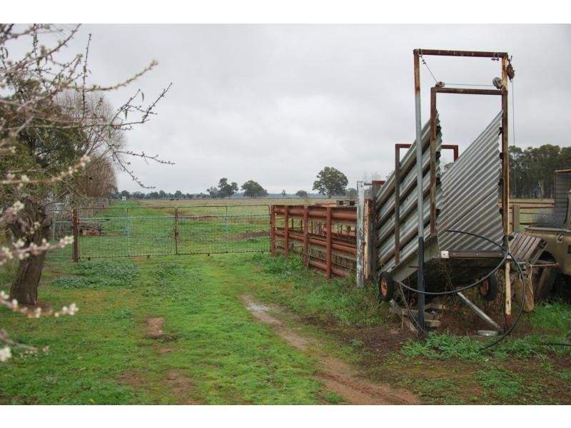 47 Ritchie Road, Cobram VIC 3644