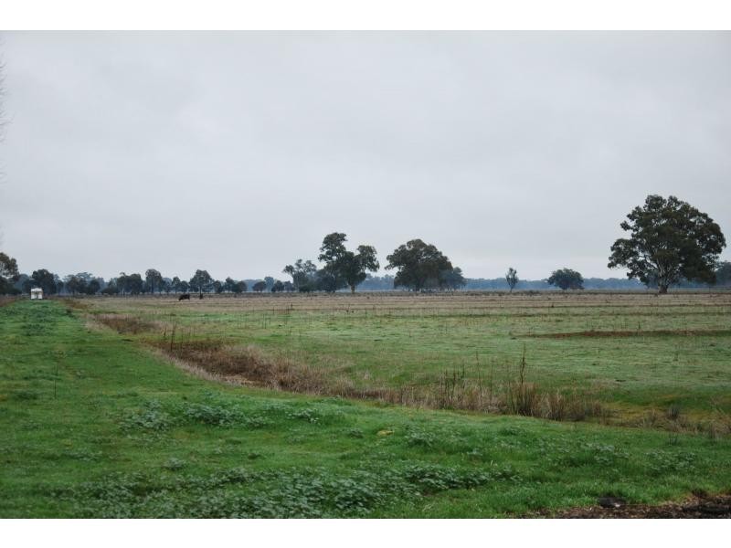 47 Ritchie Road, Cobram VIC 3644