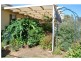17 Hotchin Street, Katamatite VIC 3649