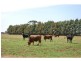 851 Spences Road, Katunga VIC 3640