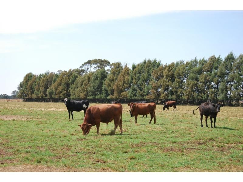 851 Spences Road, Katunga VIC 3640