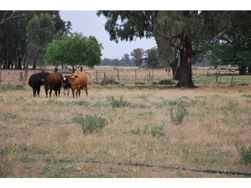 7131 – 7149 Goulburn Valley Highway, Koonoomoo VIC 3644