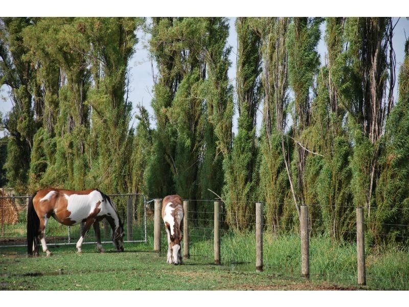 7 Ross Road, Cobram VIC 3644