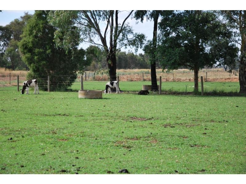 7 Ross Road, Cobram VIC 3644