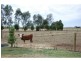 103 Barnes Road, Cobram East VIC 3644