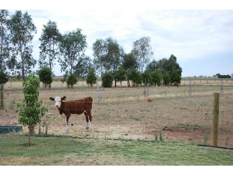 103 Barnes Road, Cobram East VIC 3644