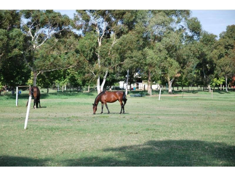 106 Quicks Road, Barooga NSW 3644