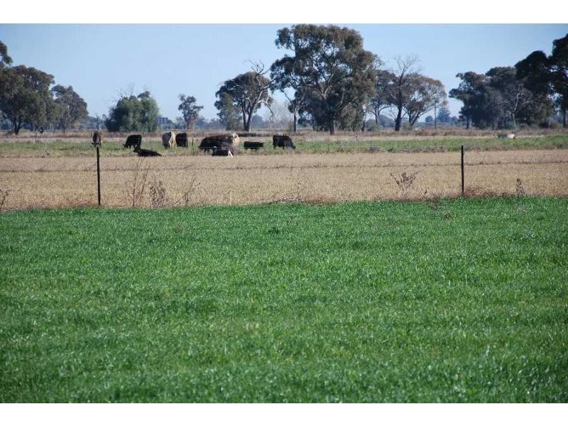 33 Parnell Road, Cobram VIC 3644