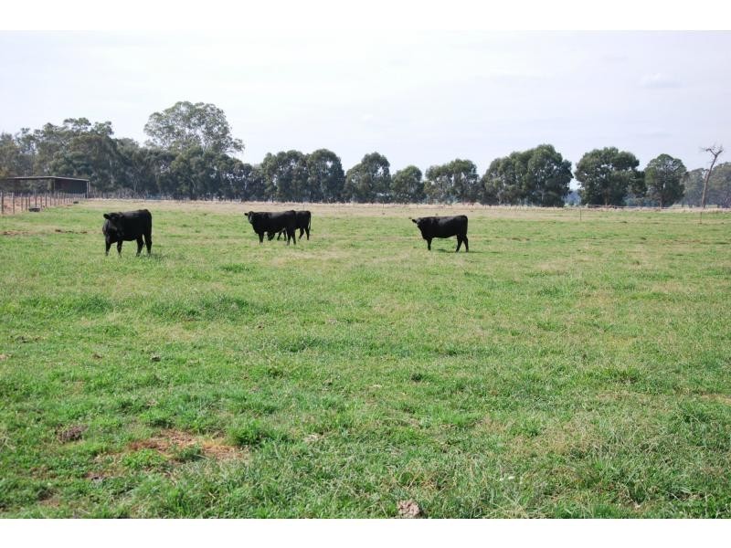 6822 Goulburn Valley Highway, Yarroweyah VIC 3644