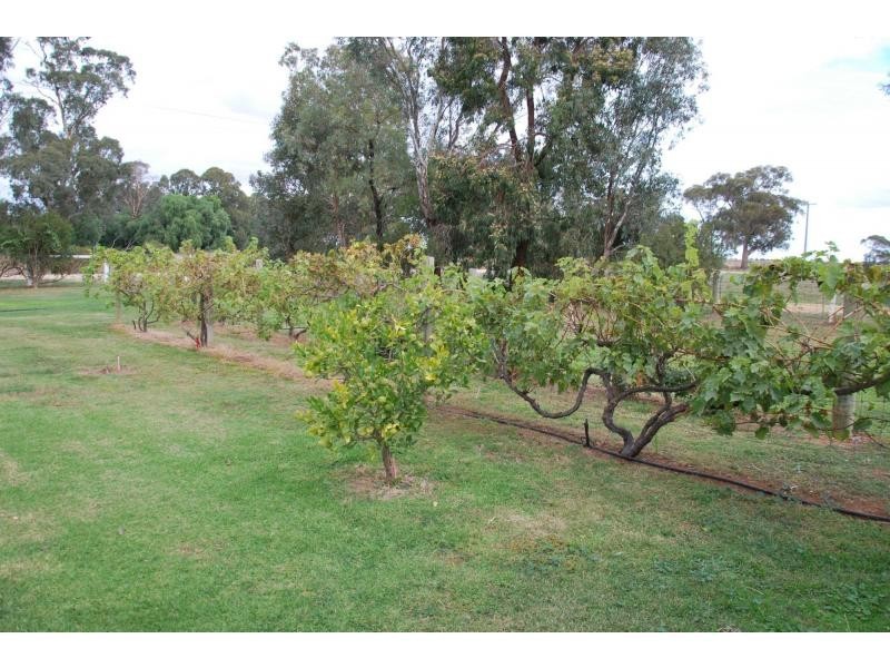 1588 Powerline Road, Cobram East VIC 3644