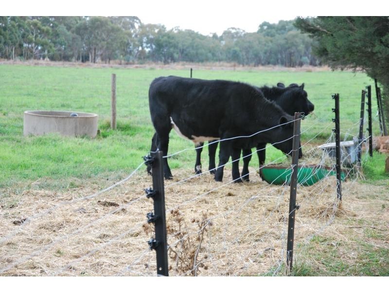 1588 Powerline Road, Cobram East VIC 3644