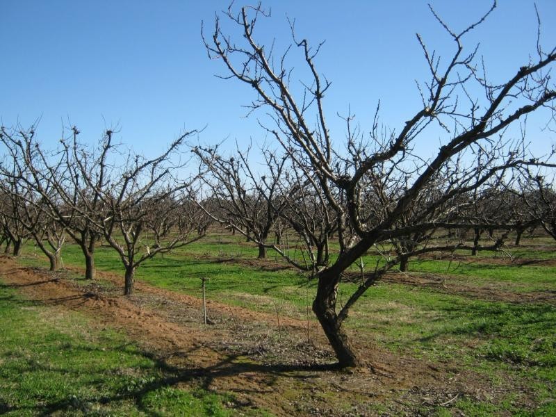 553 Maidment Road, Cobram VIC 3644